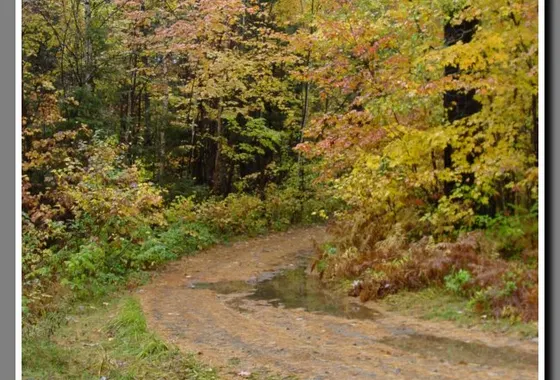 Seguin Trail photograph 25