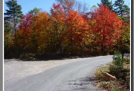 Seguin Trail photograph 62
