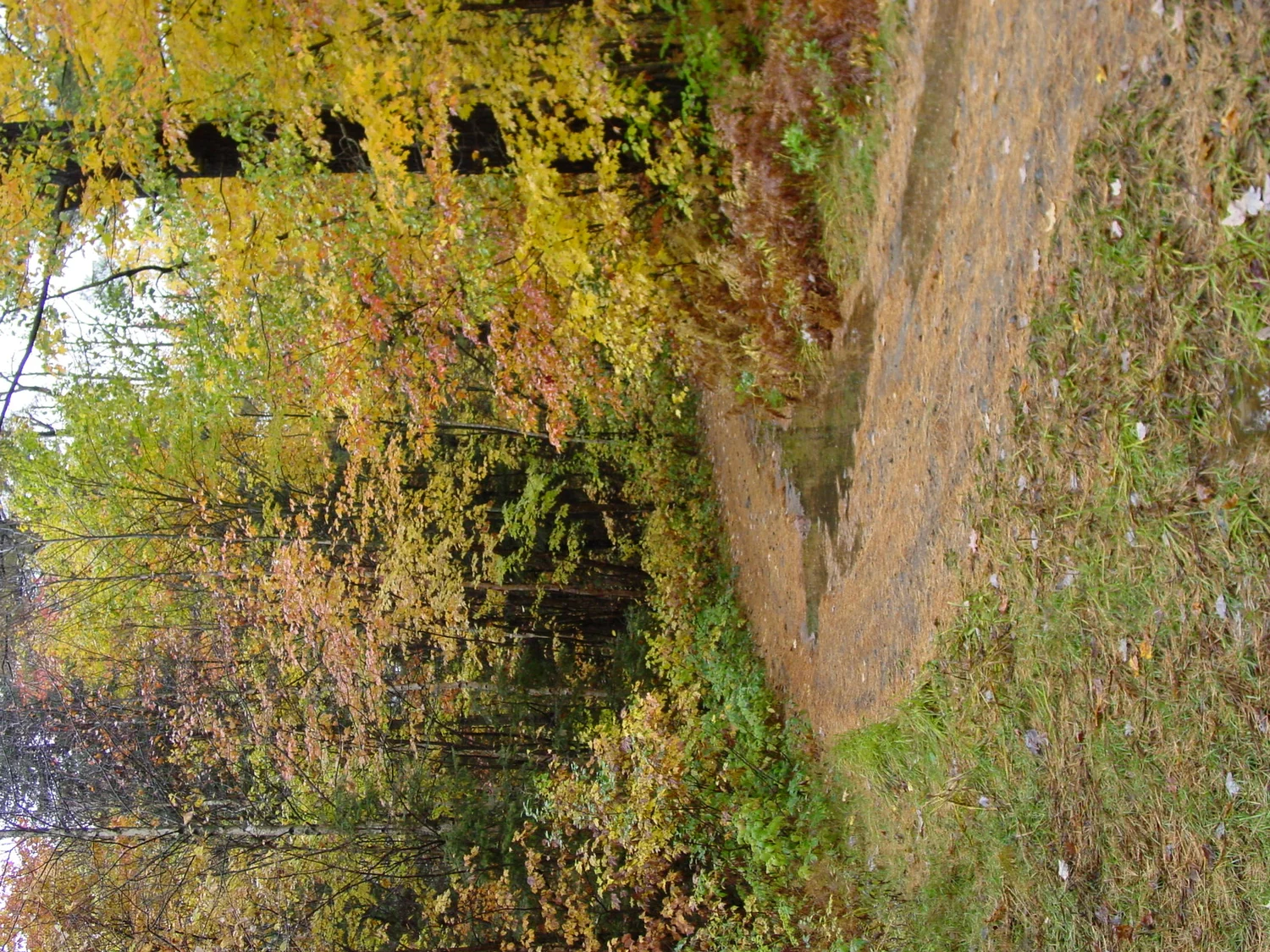 Old Nipissing Road trail junction in autumn