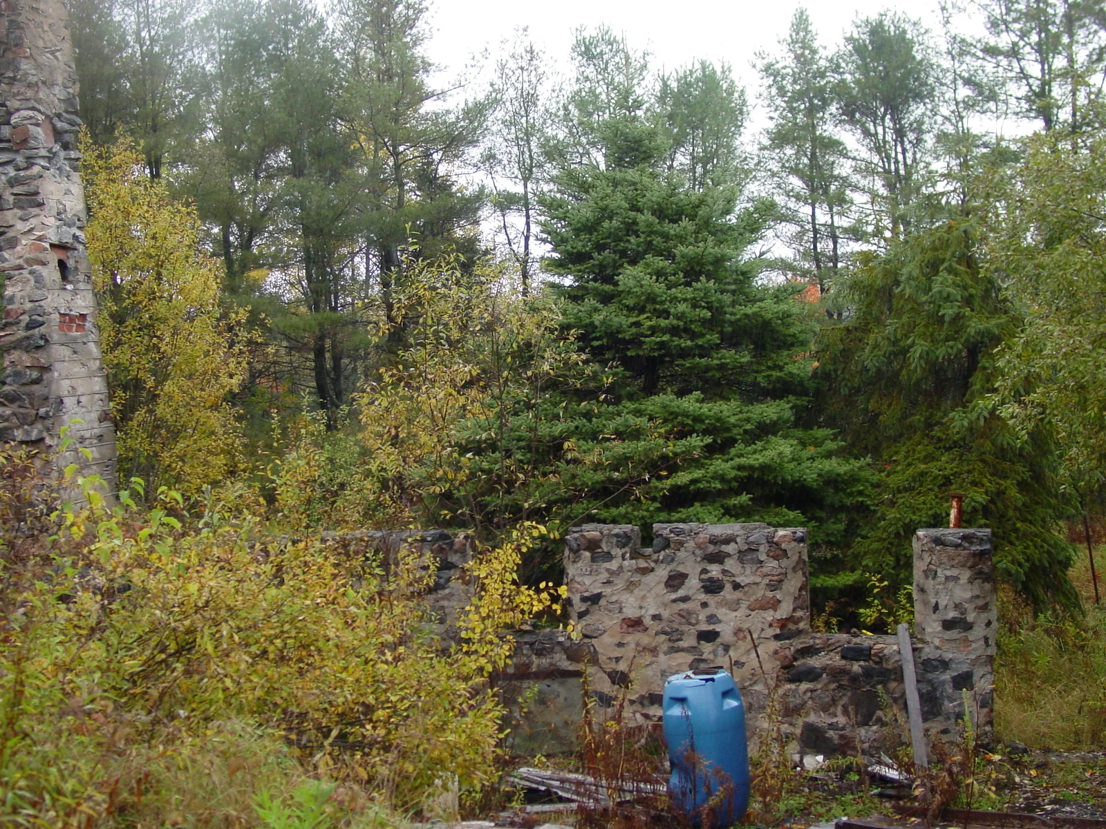 Seguin Falls foundations